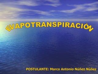 EVAPOTRANSPIRACIÓN POSTULANTE: Marco Antonio Núñez Núñez  