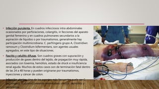 • Infección purulenta. En cuadros infecciosos intra abdominales
ocasionados por perforaciones, colangitis, in fecciones del aparato
genital femenino y en cuadros pulmonares secundarios a la
aspiración de líquidos o por traumatismos, generalmente hay
participación multimicrobiana. C. perfringens grupo A, Clostridiwn
ramosum y Clostridium b{fermentans, son agentes usuales
agregados, en este tipo de situaciones.
• Fascitis y celulitis difusas. Son cuadros graves con supuración y
producción de gases dentro del tejido, de prpagación muy rápida,
asociados con toxemia, hemólisis, estado de shock e insuficiencia
renal aguda. Muchos de estos casos son de terminación fatal dentro
de las 24 a 48 horas y pueden originarse por traumatismos,
inyecciones y cáncer de colon.
• Infección uterina. Uno de los agentes más frecuentes suele ser C.
pe,j'ringens. El cuadro presenta mionecrosis uterina, hemólisis y
septicemia.
 