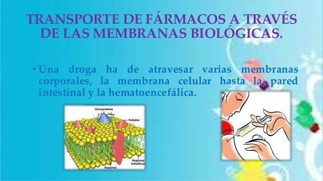 Farmacocinética