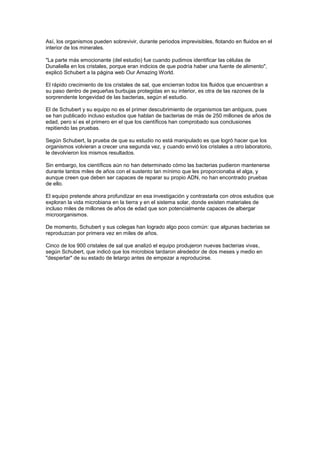 Así, los organismos pueden sobrevivir, durante periodos imprevisibles, flotando en fluidos en el
interior de los minerales.
"La parte más emocionante (del estudio) fue cuando pudimos identificar las células de
Dunaliella en los cristales, porque eran indicios de que podría haber una fuente de alimento",
explicó Schubert a la página web Our Amazing World.
El rápido crecimiento de los cristales de sal, que encierran todos los fluidos que encuentran a
su paso dentro de pequeñas burbujas protegidas en su interior, es otra de las razones de la
sorprendente longevidad de las bacterias, según el estudio.
El de Schubert y su equipo no es el primer descubrimiento de organismos tan antiguos, pues
se han publicado incluso estudios que hablan de bacterias de más de 250 millones de años de
edad, pero sí es el primero en el que los científicos han comprobado sus conclusiones
repitiendo las pruebas.
Según Schubert, la prueba de que su estudio no está manipulado es que logró hacer que los
organismos volvieran a crecer una segunda vez, y cuando envió los cristales a otro laboratorio,
le devolvieron los mismos resultados.
Sin embargo, los científicos aún no han determinado cómo las bacterias pudieron mantenerse
durante tantos miles de años con el sustento tan mínimo que les proporcionaba el alga, y
aunque creen que deben ser capaces de reparar su propio ADN, no han encontrado pruebas
de ello.
El equipo pretende ahora profundizar en esa investigación y contrastarla con otros estudios que
exploran la vida microbiana en la tierra y en el sistema solar, donde existen materiales de
incluso miles de millones de años de edad que son potencialmente capaces de albergar
microorganismos.
De momento, Schubert y sus colegas han logrado algo poco común: que algunas bacterias se
reproduzcan por primera vez en miles de años.
Cinco de los 900 cristales de sal que analizó el equipo produjeron nuevas bacterias vivas,
según Schubert, que indicó que los microbios tardaron alrededor de dos meses y medio en
"despertar" de su estado de letargo antes de empezar a reproducirse.
 