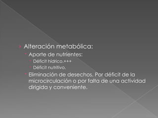 › Alteración metabólica:
 Aporte de nutrientes:
 Déficit hídrico.+++
 Déficit nutritivo.
 Eliminación de desechos. Por déficit de la
microcirculación o por falta de una actividad
dirigida y conveniente.
 
