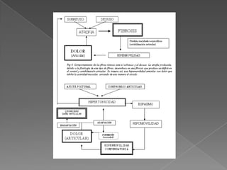 acerca de lesiones y dolor muscular 