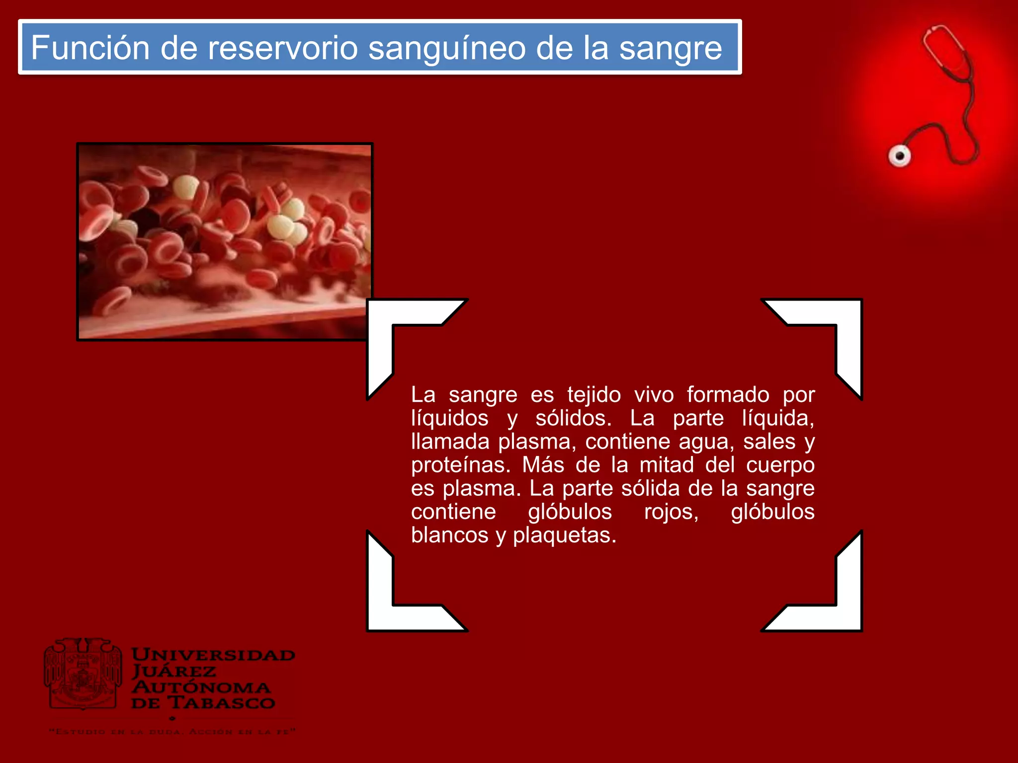 Funcion del reservorio sanguineo en la sangre