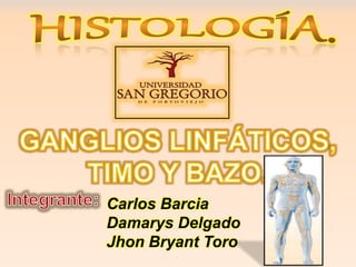 Carlos Barcia
Damarys Delgado
Jhon Bryant Toro
 