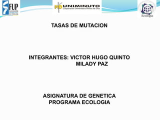 TASAS DE MUTACION 
INTEGRANTES: VICTOR HUGO QUINTO 
MILADY PAZ 
ASIGNATURA DE GENETICA 
PROGRAMA ECOLOGIA 
 