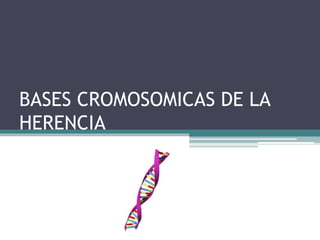 BASES CROMOSOMICAS DE LA 
HERENCIA 
 