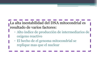 La alta inestabilidad del DNA mitocondrial es 
resultado de varios factores: 
▫ Alto índice de producción de intermediarios de 
oxigeno reactivo 
▫ El hecho de el genoma mitocondrial se 
replique mas que el nuclear 
 