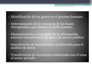 • Identificación de los genes en el genoma humano. 
• Determinación de la secuencia de las bases 
nitrogenadas que forman el ADN humano. 
• Mantenimiento a resguardo de la información 
anterior crenado bases de datos de acceso publico. 
• Introducción de herramientas multimedia para el 
análisis de datos. 
• Transferencia de tecnología relacionada con el tema 
al sector privado. 
 