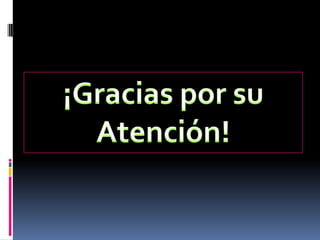 ¡Gracias por su Atención!