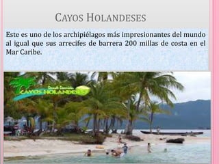 CAYOS HOLANDESES
Este es uno de los archipiélagos más impresionantes del mundo
al igual que sus arrecifes de barrera 200 millas de costa en el
Mar Caribe.
 