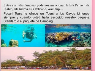 Entre sus islas famosas podemos mencionar la Isla Perro, Isla
Diablo, Isla hierba, Isla Pelicano, Wailidup…
Pecari Tours le ofrece un Tours a los Cayos Limones
siempre y cuando usted halla escogido nuestro paquete
Standard o el paquete de Camping.
 