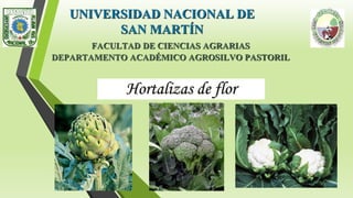 UNIVERSIDAD NACIONAL DE
SAN MARTÍN
FACULTAD DE CIENCIAS AGRARIAS
DEPARTAMENTO ACADÉMICO AGROSILVO PASTORIL
Hortalizas de flor
 
