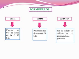 LOS MÓDULOS

SIMM

DIMM

Poseían
un
bus de datos
de 16 ó 32
bits

Poseen un bus
de datos de 64
bits

SO-DIMM

Por su tamaño se
utilizan en las
computadoras
portátiles

 