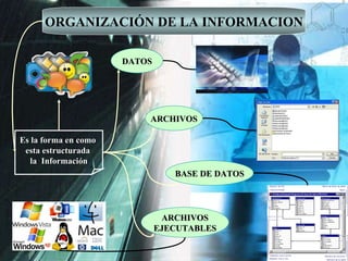 ORGANIZACIÓN DE LA INFORMACION Es la forma en como  esta estructurada  la  Información DATOS ARCHIVOS BASE DE DATOS ARCHIV...