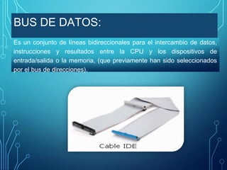 BUS DE DATOS:
Es un conjunto de líneas bidireccionales para el intercambio de datos,
instrucciones y resultados entre la CPU y los dispositivos de
entrada/salida o la memoria, (que previamente han sido seleccionados
por el bus de direcciones).

 