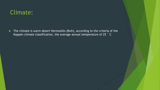 Climate:


The climate is warm desert Hermosillo (Bwh), according to the criteria of the
Koppen climate classification, the average annual temperature of 25 ° C

 