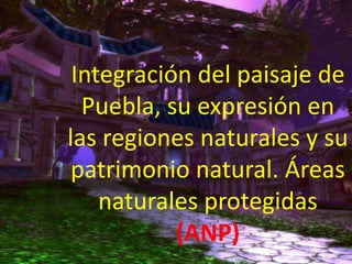 Integración del paisaje de Puebla, su expresión en las regiones naturales y su patrimonio natural. Áreas naturales protegidas (ANP) 
