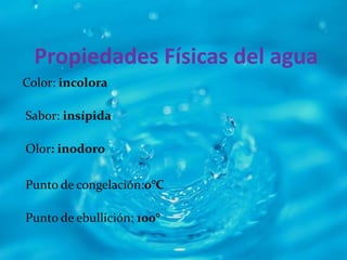 Exposicion del agua | PPTX
