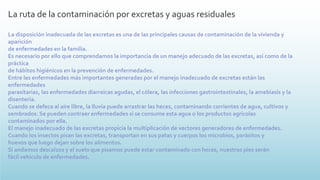 La ruta de la contaminación por excretas y aguas residuales
La disposición inadecuada de las excretas es una de las principales causas de contaminación de la vivienda y
aparición
de enfermedades en la familia.
Es necesario por ello que comprendamos la importancia de un manejo adecuado de las excretas, así como de la
práctica
de hábitos higiénicos en la prevención de enfermedades.
Entre las enfermedades más importantes generadas por el manejo inadecuado de excretas están las
enfermedades
parasitarias, las enfermedades diarreicas agudas, el cólera, las infecciones gastrointestinales, la amebiasis y la
disentería.
Cuando se defeca al aire libre, la lluvia puede arrastrar las heces, contaminando corrientes de agua, cultivos y
sembrados. Se pueden contraer enfermedades si se consume esta agua o los productos agrícolas
contaminados por ella.
El manejo inadecuado de las excretas propicia la multiplicación de vectores generadores de enfermedades.
Cuando los insectos pisan las excretas, transportan en sus patas y cuerpos los microbios, parásitos y
huevos que luego dejan sobre los alimentos.
Si andamos descalzos y el suelo que pisamos puede estar contaminado con heces, nuestros pies serán
fácil vehículo de enfermedades.
 