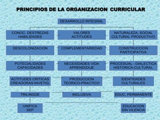 PRINCIPIOS DE LA ORGANIZACION CURRICULAR
UNIFICA
SEP
TRILINGÜE
ACTITUDES CRITICAS
CREADORAS-INVETIG.
POTECIALIDADES
CAPACIDADES
DESCOLONIZACION
CONOC. DESTREZAS
HABILIDADES
INCLUSIVA
PRODUCCION
TEORICO-PRACTICO
NECESIDADES VIDA
APRENDIZAJE
COMPLEMENTARIEDAD
VALORES
ACTITUDES
EDUCACION
SIN VILENCIA
EDUC. PERMANENTE
IDENTIDADES
CULTURALES
PROCESUAL - DIALECTICA
HISTORICA-CULTURAL
CONSTRUCCION
PARTICIPATIVA
NATURALEZA, SOCIAL
CULTURAL PRODUCTIVO
DESARROLLO INTEGRAL
 