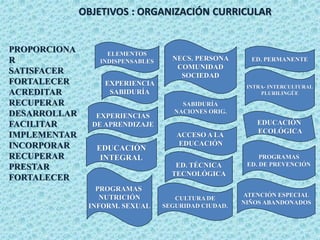 OBJETIVOS : ORGANIZACIÓN CURRICULAR
PROPORCIONA
R
SATISFACER
FORTALECER
ACREDITAR
RECUPERAR
DESARROLLAR
FACILITAR
IMPLEMENTAR
INCORPORAR
RECUPERAR
PRESTAR
FORTALECER
ELEMENTOS
INDISPENSABLES NECS. PERSONA
COMUNIDAD
SOCIEDAD
ED. PERMANENTE
EXPERIENCIA
SABIDURÍA
SABIDURÍA
NACIONES ORIG.
INTRA- INTERCULTURAL
PLURILINGÜE
EXPERIENCIAS
DE APRENDIZAJE
ACCESO A LA
EDUCACIÓN
EDUCACIÓN
ECOLÓGICA
EDUCACIÓN
INTEGRAL
ED. TÉCNICA
TECNOLÓGICA
PROGRAMAS
ED. DE PREVENCIÓN
PROGRAMAS
NUTRICIÓN
INFORM. SEXUAL
CULTURA DE
SEGURIDAD CIUDAD.
ATENCIÓN ESPECIAL
NIÑOS ABANDONADOS
 