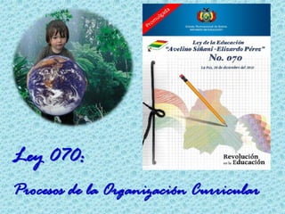 Ley 070:
Procesos de la Organización Curricular
 