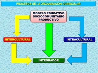 INTERCULTURAL INTRACULTURAL
MODELO EDUCATIVO
SOCIOCOMUNITARIO
PRODUCTIVO
PROCESOS DE LA ORGANIZACIÓN CURRICULAR
INTEGRADOR
 