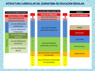 ESTRUCTURA CURRICULAR DEL SUBSISTEMA DE EDUCACIÓN REGULAR.
 