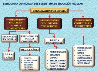 ORGANIZACIÓN POR NIVELES
EDUCACIÓN
COMUNITARIA
VOCACIONAL
BÁSICA
VOCACIONAL
• PRIMER GRADO
• SEGUNDO
GRADO
• TERCER GRADO
• CUARTO GRADO
• QUINTO GRADO
• SEXTO GRADO
• PRIMER GRADO
• SEGUNDO
GRADO
• TERCER GRADO
• CUARTO GRADO
• QUINTO GRADO
• SEXTO GRADO
EDUCACIÓN
EN FAMILIA
DE 0 A
3 AÑOS
EDUCACIÓN EN
FAMILIA
COMUNITARIA
DE 2 A 5 AÑOS
EDUCACIÓN
INICIAL EN
FAMILIA
COMUNITARIA
EDUCACIÓN
COMUNITARIA
PRODUCTIVA
ESTRUCTURA CURRICULAR DEL SUBSISTEMA DE EDUCACIÓN REGULAR.
• NIDITO.
• PARVULARIO
• PRIMERA
SECCIÓN
• SEGUNDA
SECCIÓN
 