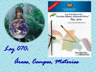 Ley 070:
Áreas, Campos, Materias
 
