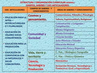 ESTRUCTURA Y ORGANIZACIÓN CURRICULAR (GENERAL)
CAMPOS, SABERES Y EJES ARTICULADORES
EJES ARTICULADORES
CAMPOS DE SABERES Y
CONOCIMIENTOS
ÁREAS DE SABERES Y CONOCIMIENTOS
• EDUCACIÓN PARA LA
INTRA –
INTERCULTURALIDA
D Y PLURILINGÜE.
• EDUCACIÓN EN
VALORES SOCIO-
COMUNITARIOS.
• EDUCACIÓN PARA LA
PRODUCCIÓN.
• EDUCACIÓN EN
CONVIVENCIA CON
LA NATURALEZA Y
SALUD
COMUNITARIA.
Cosmos y
pensamiento.
Cosmovisiones, Filosofía y Psicología
Valores, Espiritualidad y Religiones
Comunidad y
Sociedad
Comunicación y Lenguajes /
Computación
Idioma Originario
Idioma Extranjero
Ciencias Sociales
Artes Plásticas y Visuales
Educación Musical
Educación Física y Deportiva
Vida, tierra y
territorio
C. Nat. / Biología y Geografía
C. Nat. / Física y Química
Ciencia,
Tecnología y
Producción
Matemática
Formación Técnicas, Tecnológicas y
Productivas /Gral. y Especializada
 