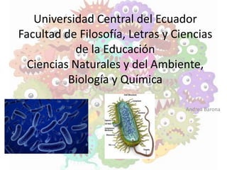 Universidad Central del Ecuador
Facultad de Filosofía, Letras y Ciencias
de la Educación
Ciencias Naturales y del Ambiente,
Biología y Química
Andrea Barona
 