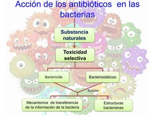 Acción de los antibióticos en las
bacterias
Substancia
naturales
Toxicidad
selectiva
Bactericida Bacteriostáticos
Mecanismos de transferencia
de la información de la bacteria
Estructuras
bacterianas
Actúan
 
