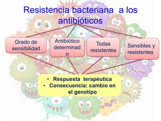 Resistencia bacteriana a los
antibióticos
Grado de
sensibilidad
Antibiótico
determinad
o
Todas
resistentes
Sensibles y
resistentes
• Respuesta terapéutica
• Consecuencia: cambio en
el genotipo
 