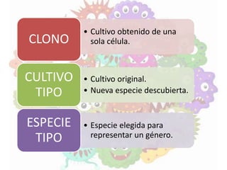 • Cultivo obtenido de una
sola célula.CLONO
• Cultivo original.
• Nueva especie descubierta.
CULTIVO
TIPO
• Especie elegida para
representar un género.
ESPECIE
TIPO
 