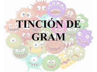 TINCIÓN DE
GRAM
 