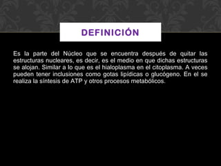 DEFINICIÓN
Es la parte del Núcleo que se encuentra después de quitar las
estructuras nucleares, es decir, es el medio en que dichas estructuras
se alojan. Similar a lo que es el hialoplasma en el citoplasma. A veces
pueden tener inclusiones como gotas lipídicas o glucógeno. En el se
realiza la síntesis de ATP y otros procesos metabólicos.

 