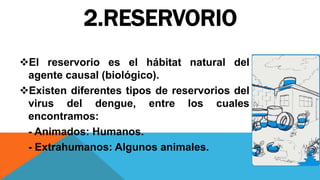 2.RESERVORIO
El reservorio es el hábitat natural del
agente causal (biológico).
Existen diferentes tipos de reservorios del
virus del dengue, entre los cuales
encontramos:
- Animados: Humanos.
- Extrahumanos: Algunos animales.
 