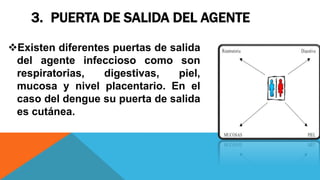 3. PUERTA DE SALIDA DEL AGENTE
Existen diferentes puertas de salida
del agente infeccioso como son
respiratorias, digestivas, piel,
mucosa y nivel placentario. En el
caso del dengue su puerta de salida
es cutánea.
 
