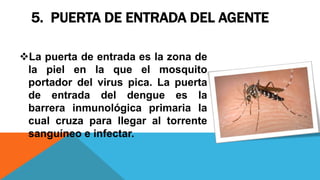 5. PUERTA DE ENTRADA DEL AGENTE
La puerta de entrada es la zona de
la piel en la que el mosquito
portador del virus pica. La puerta
de entrada del dengue es la
barrera inmunológica primaria la
cual cruza para llegar al torrente
sanguíneo e infectar.
 