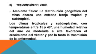 3) TRANSMISIÓN DEL VIRUS
 Ambiente físico: La distribución geográfica del
virus abarca una extensa franja tropical y
subtropical.
Los climas tropicales y subtropicales, con
temperaturas entre 15 y 40º, una humedad relativa
del aire de moderada a alta favorecen el
crecimiento del vector y por lo tanto la trasmisión
de la enfermedad.
 
