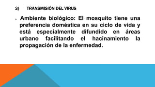 3) TRANSMISIÓN DEL VIRUS
 Ambiente biológico: El mosquito tiene una
preferencia doméstica en su ciclo de vida y
está especialmente difundido en áreas
urbano facilitando el hacinamiento la
propagación de la enfermedad.
 