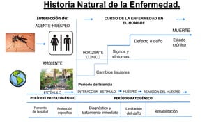 Historia Natural de la Enfermedad.
ANTES DE LA
ENFERMEDAD
Interacción de:
AGENTE-HUÉSPED
AMBIENTE
ESTÍMULO
CURSO DE LA ENFERMEDAD EN
EL HOMBRE
MUERTE
Estado
crónico
Defecto o daño
Signos y
síntomas
HORIZONTE
CLÍNICO
Cambios tisulares
Período de latencia
INTERACCIÓN ESTÍMULO HUÉSPED REACCIÓN DEL HUÉSPED
PERÍODO PREPATOGÉNICO PERÍODO PATOGÉNICO
Fomento
de la salud
Protección
específica
Diagnóstico y
tratamiento inmediato
Limitación
del daño
Rehabilitación
 