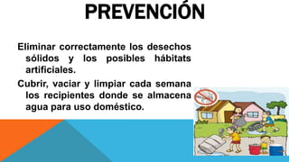 PREVENCIÓN
Eliminar correctamente los desechos
sólidos y los posibles hábitats
artificiales.
Cubrir, vaciar y limpiar cada semana
los recipientes donde se almacena
agua para uso doméstico.
 