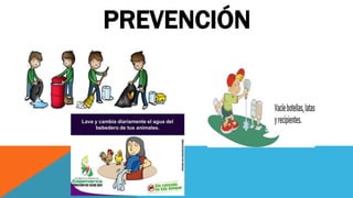 PREVENCIÓN
 
