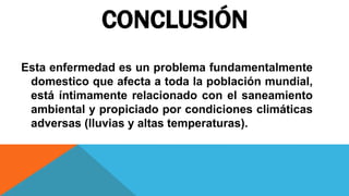 CONCLUSIÓN
Esta enfermedad es un problema fundamentalmente
domestico que afecta a toda la población mundial,
está íntimamente relacionado con el saneamiento
ambiental y propiciado por condiciones climáticas
adversas (lluvias y altas temperaturas).
 