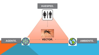 VECTOR.
AMBIENTE.AGENTE.
HUESPED.
 