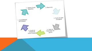 CADENA
EPIDEMIOLOGICA
DEL DENGUE
 