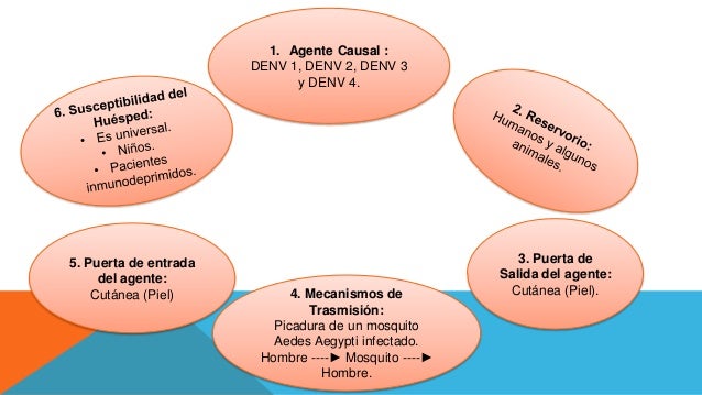cadena epidemiologica cual es exposicion epidemiologica del dengue cadena epidemiologica cual es exposicion epidemiologica del dengue