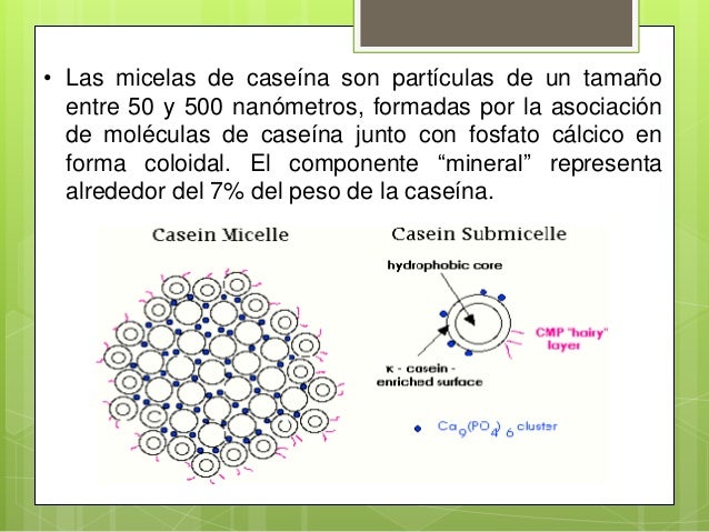 Exposicion de leche